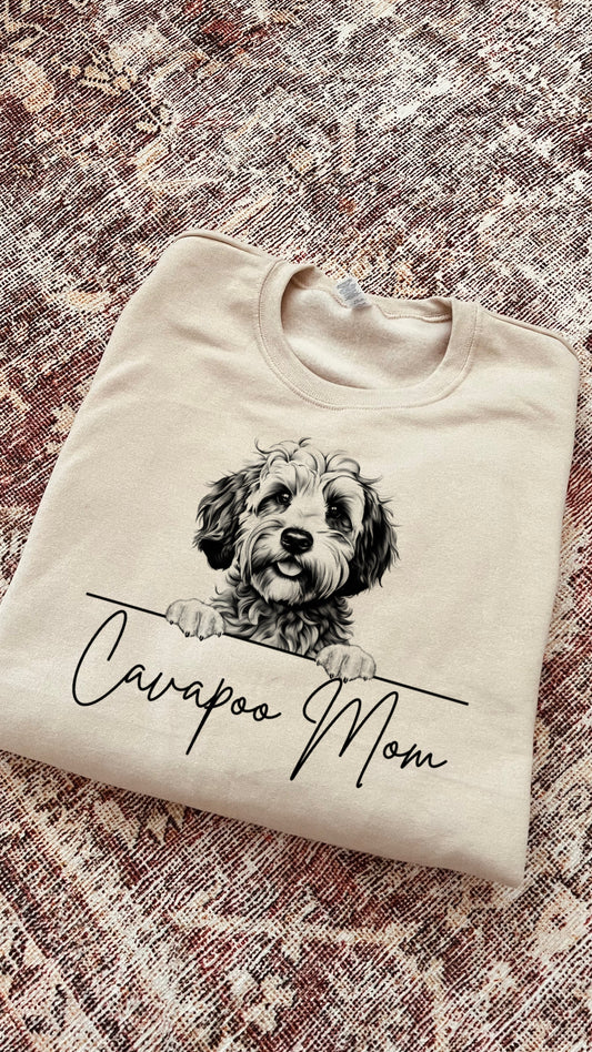 Cavapoo Mom